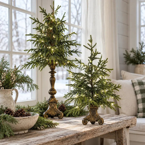🎄🌙 Vintage Lighted Norfolk Pine Trees