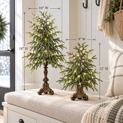🎄🌙 Vintage Lighted Norfolk Pine Trees