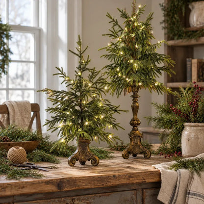 🎄🌙 Vintage Lighted Norfolk Pine Trees