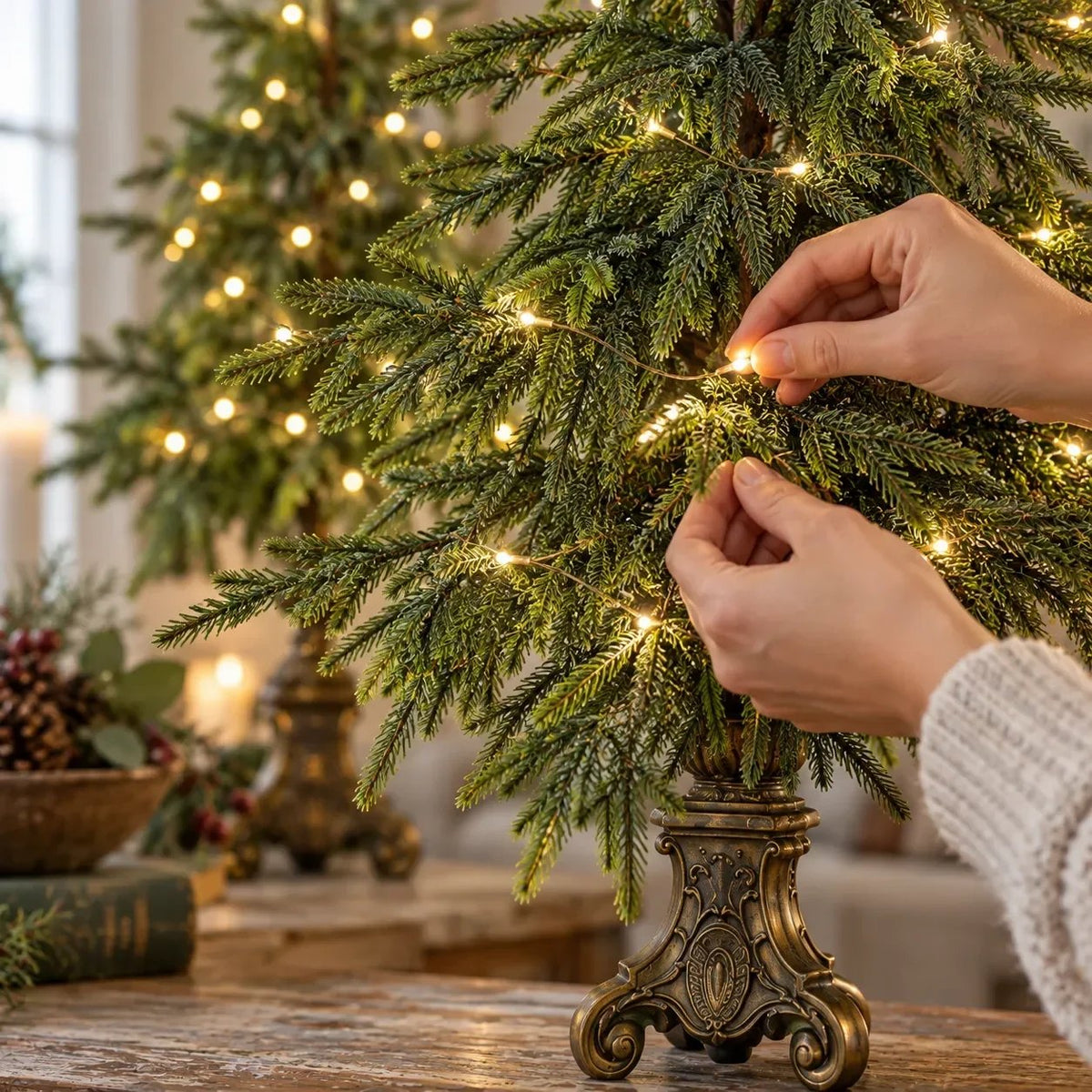 🎄🌙 Vintage Lighted Norfolk Pine Trees